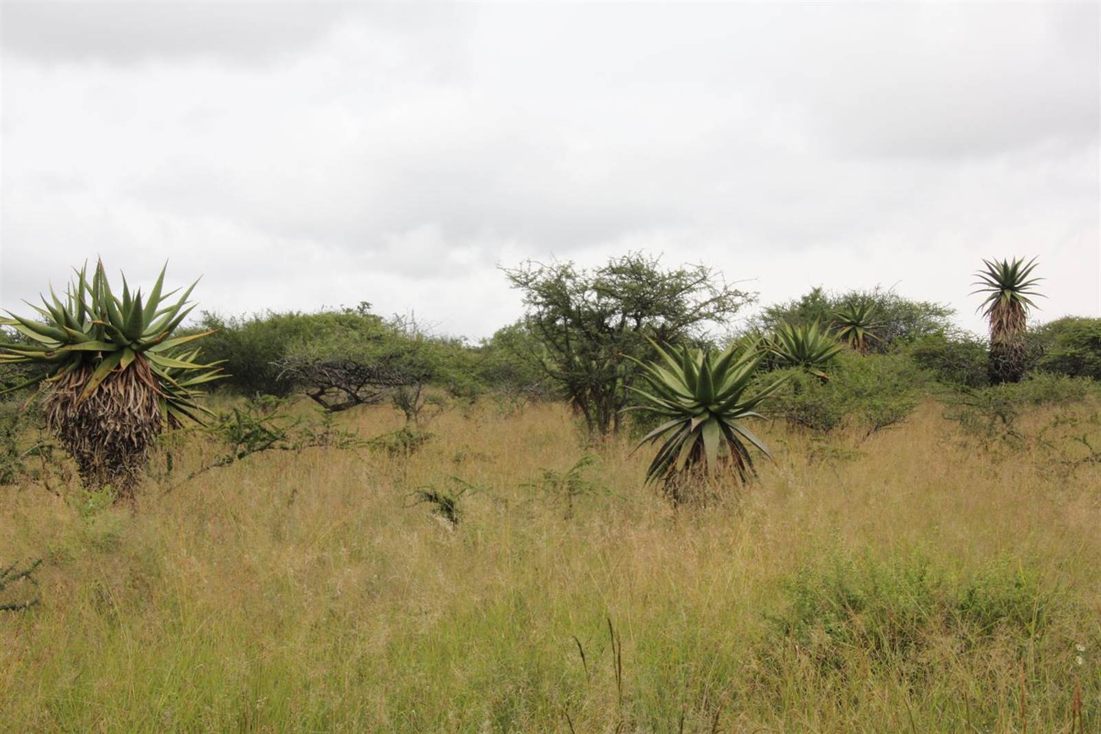 23 ha Land available in Tweefontein photo number 1