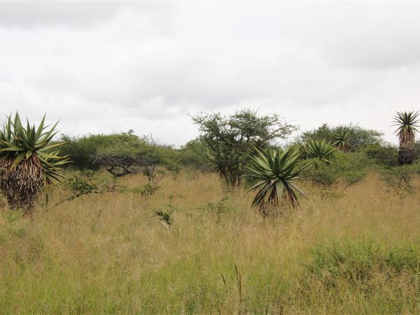 23 ha Land available in Tweefontein