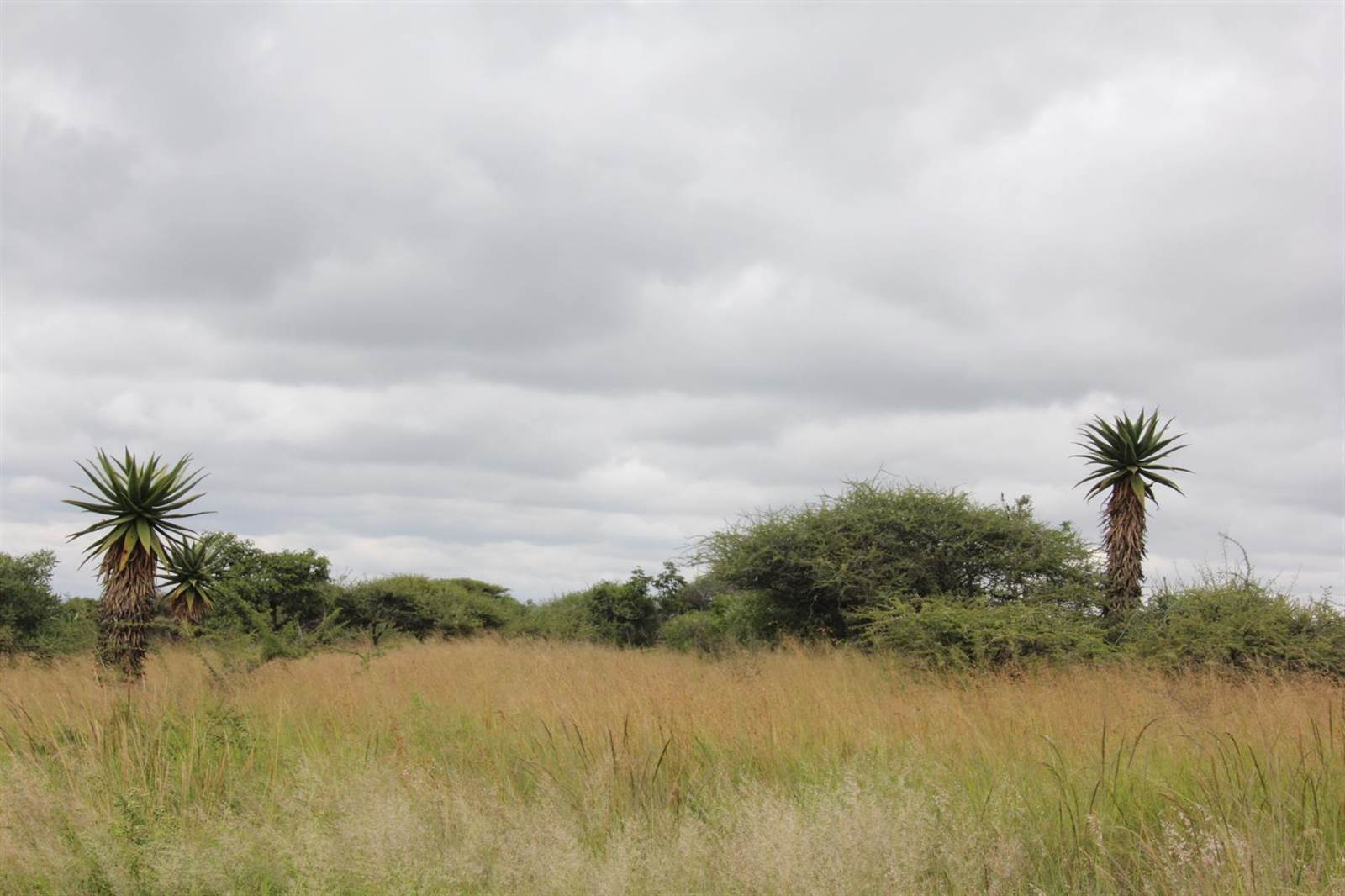 23 ha Land available in Tweefontein photo number 15