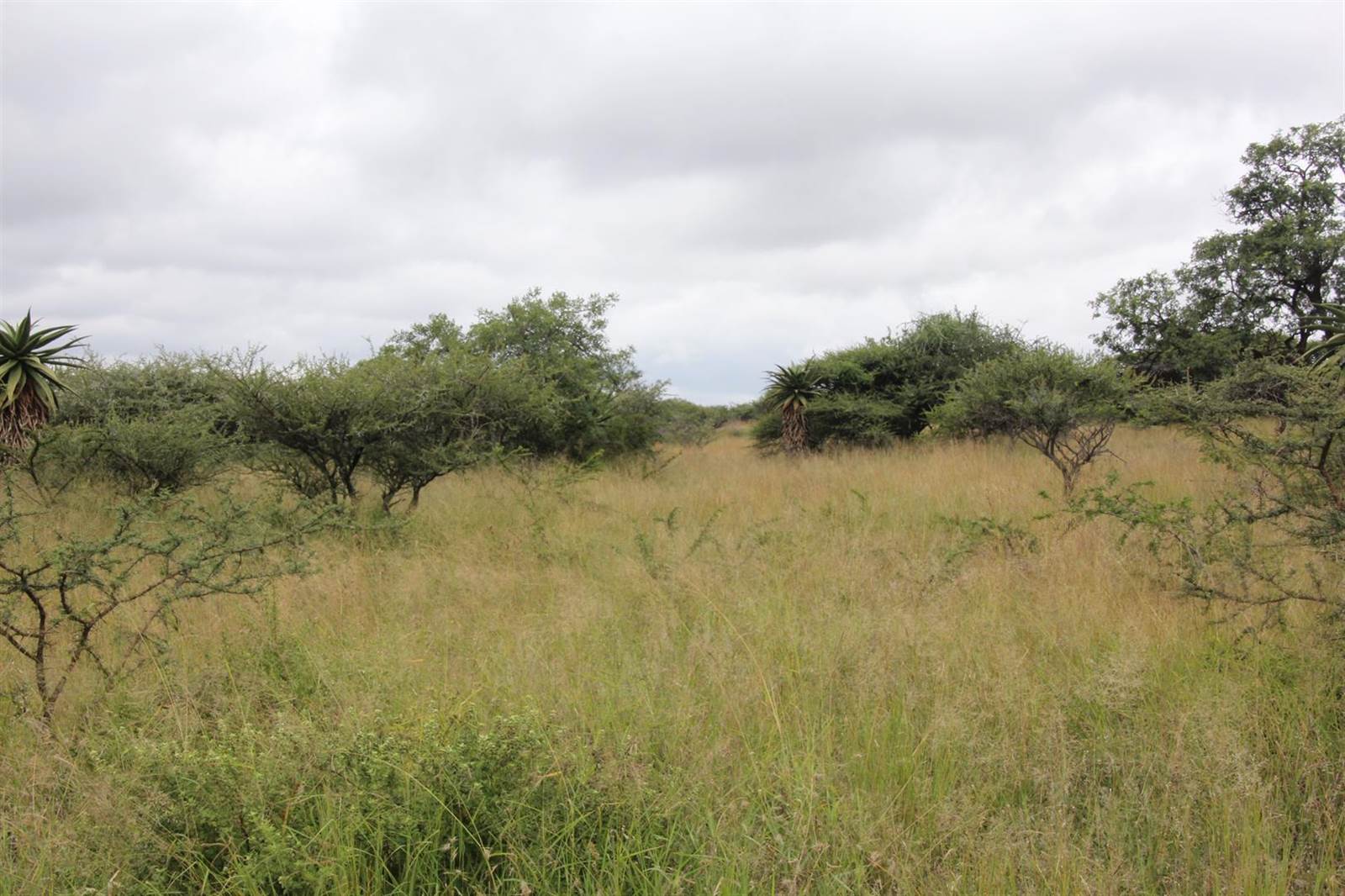 23 ha Land available in Tweefontein photo number 8