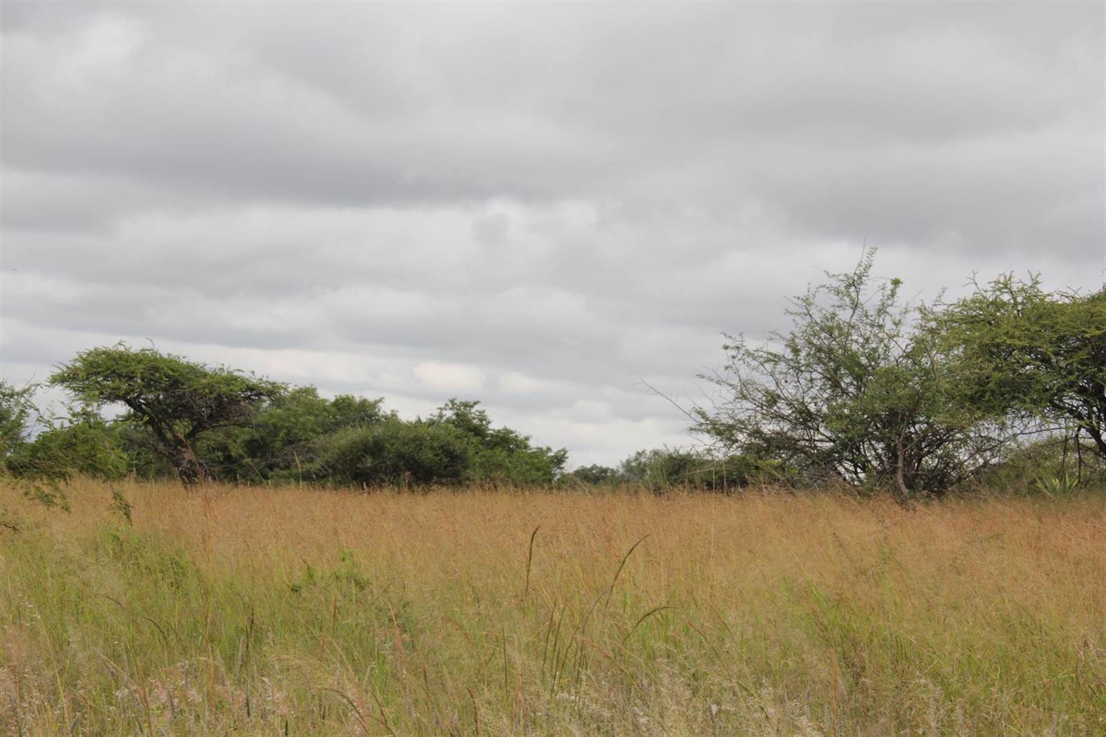23 ha Land available in Tweefontein photo number 13