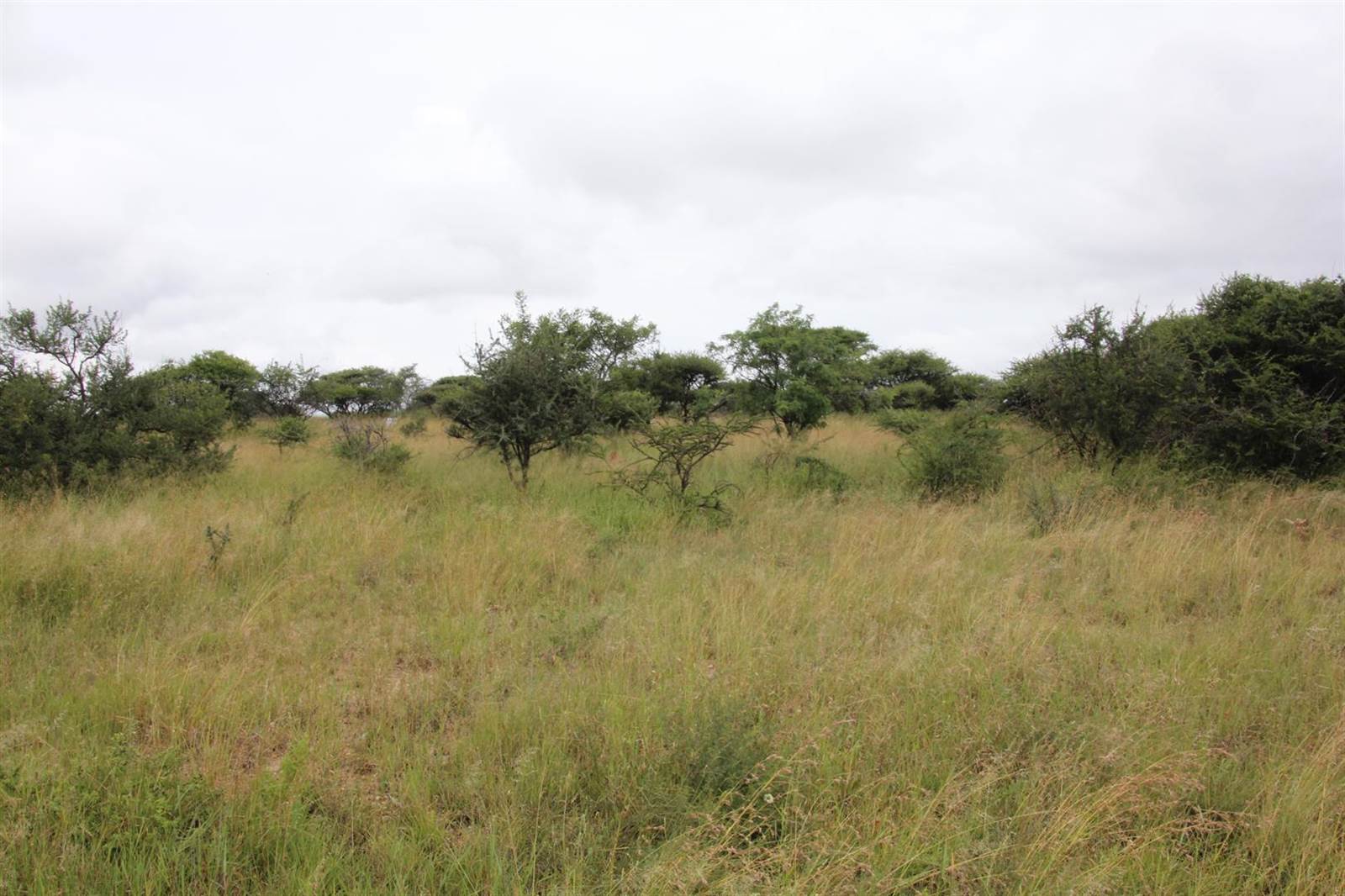 23 ha Land available in Tweefontein photo number 4