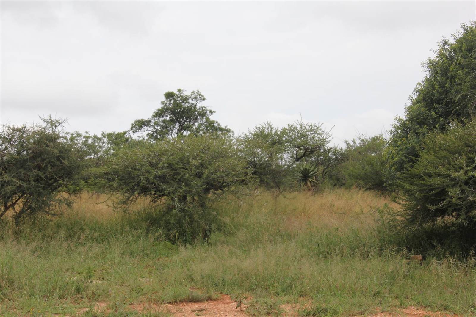 23 ha Land available in Tweefontein photo number 7