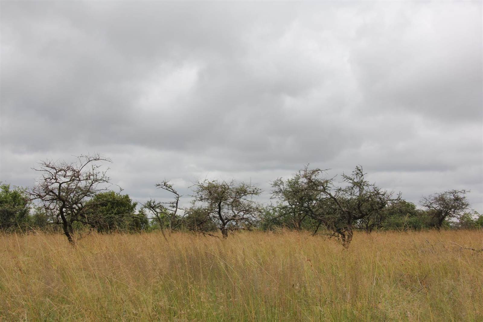 23 ha Land available in Tweefontein photo number 10