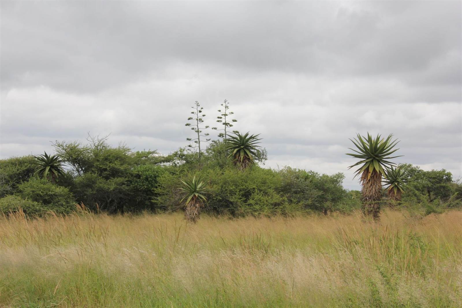 23 ha Land available in Tweefontein photo number 14