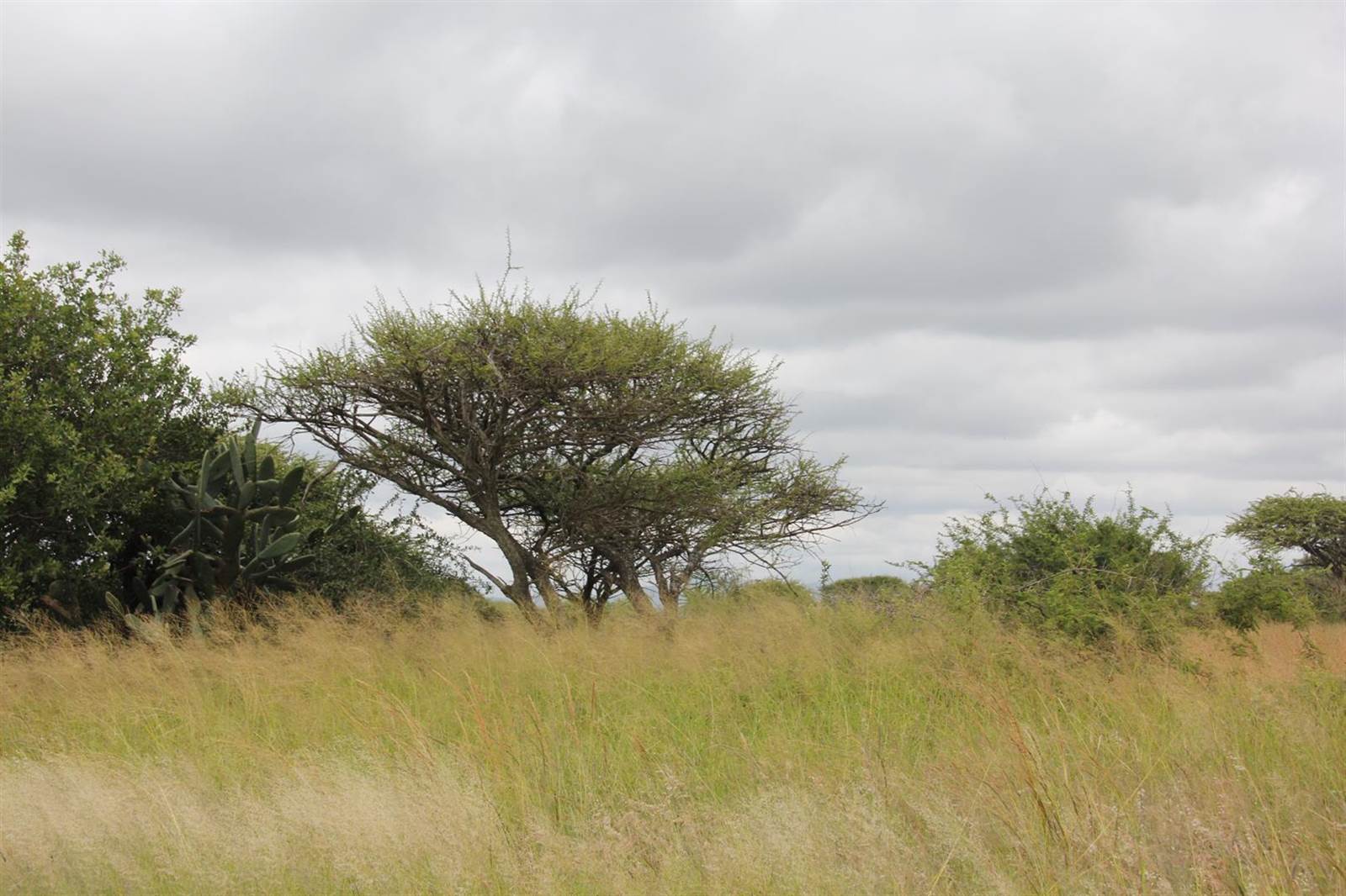 23 ha Land available in Tweefontein photo number 12