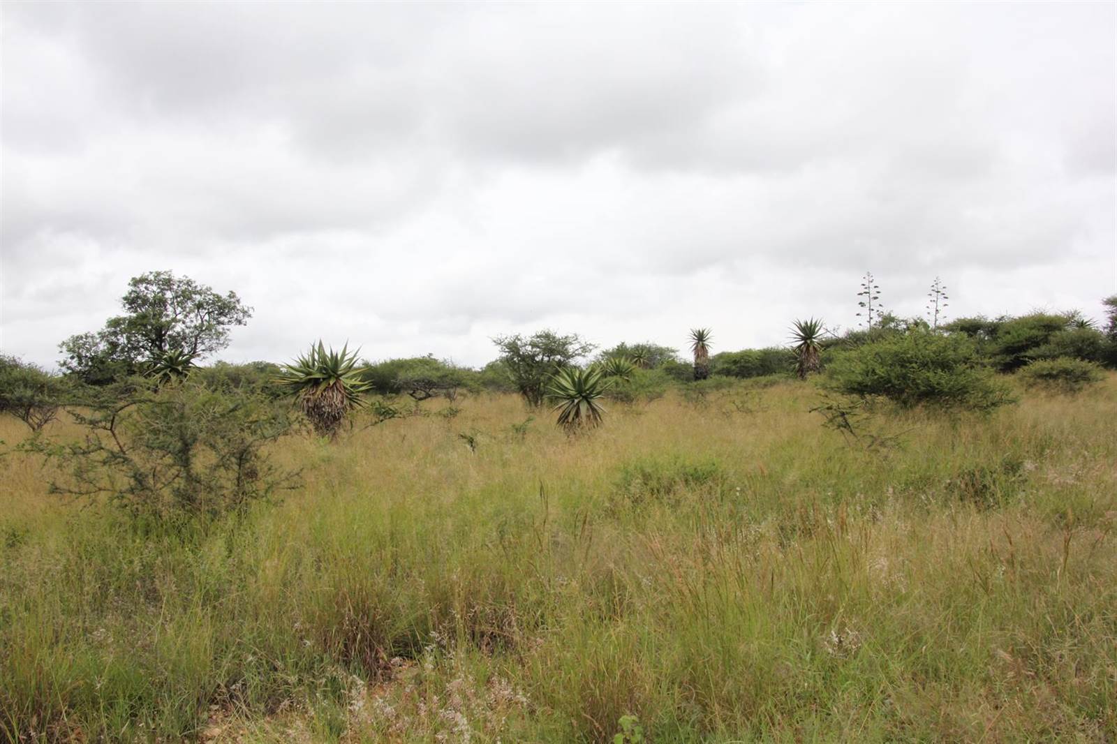 23 ha Land available in Tweefontein photo number 9