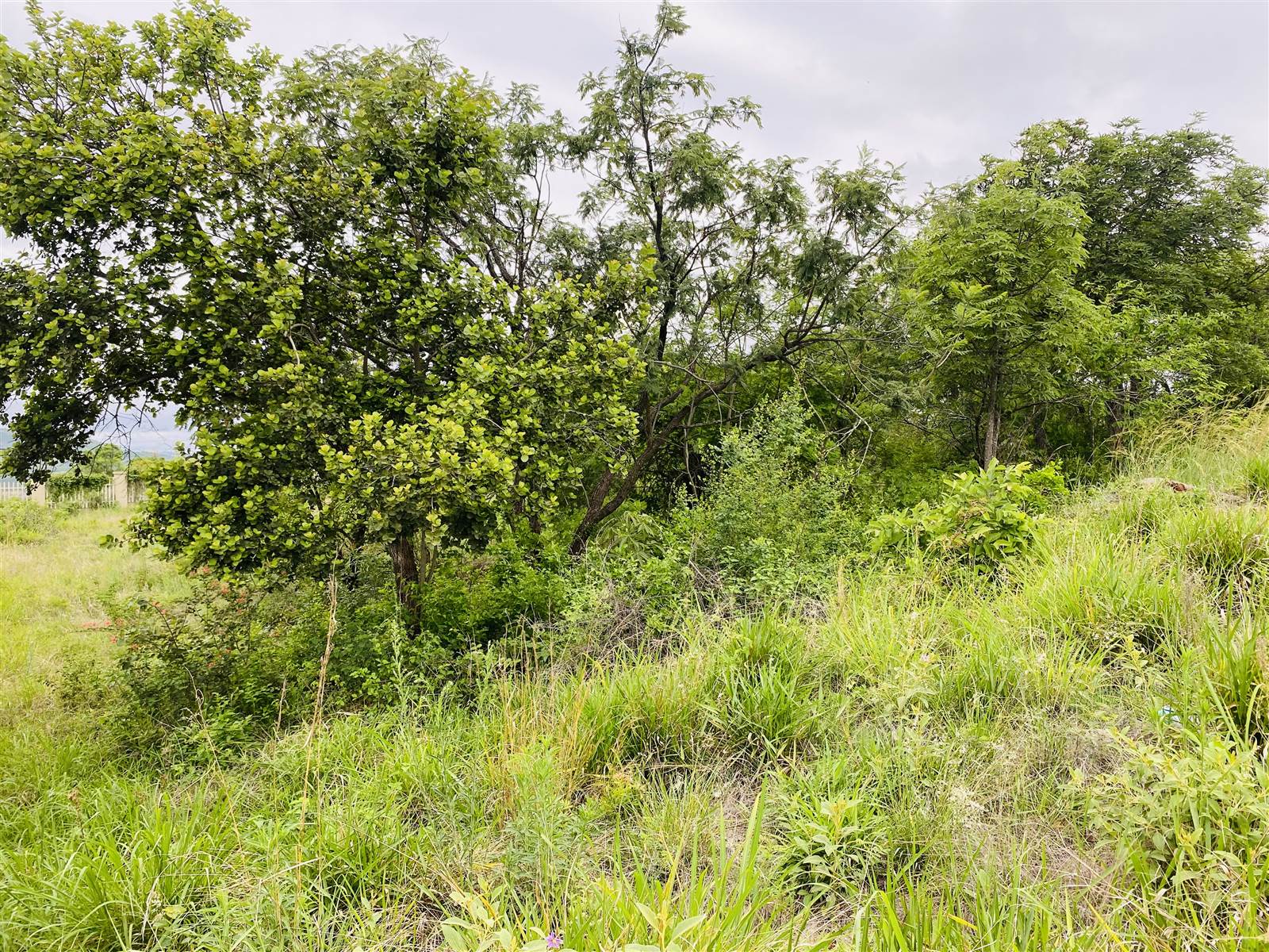 1681 m² Land available in Drum Rock photo number 4
