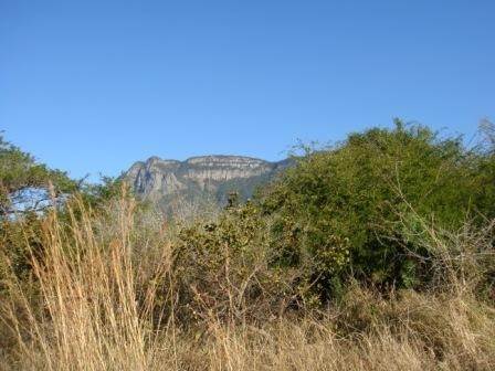 2500 m² Land available in Kampersrus AH photo number 2