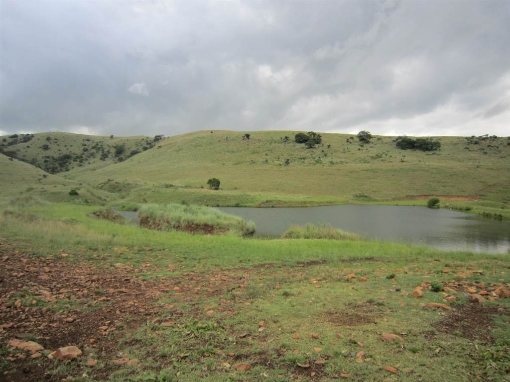 599.4 ha Farm in Waterval Boven photo number 13
