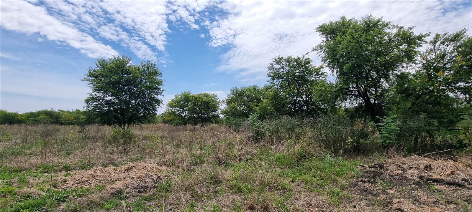 1.7 ha Land available in Kameeldrift East photo number 8