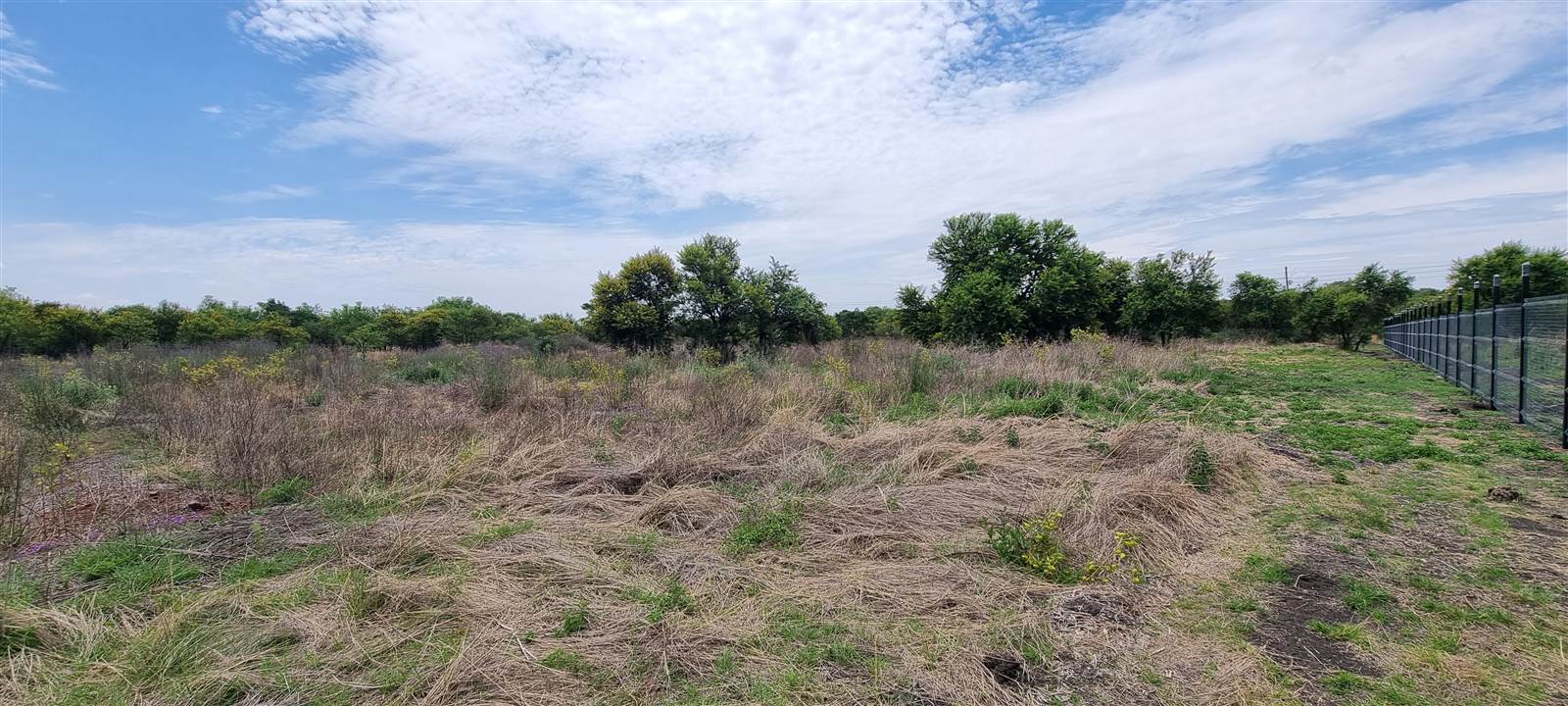 1.7 ha Land available in Kameeldrift East photo number 6