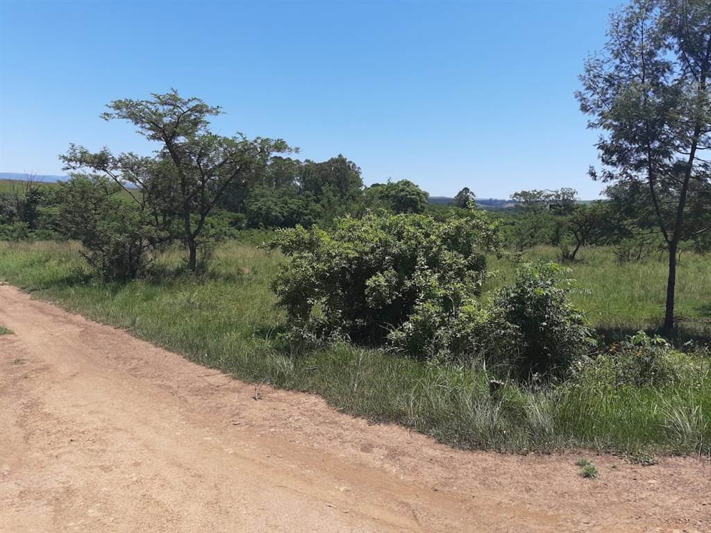 6070 m² Land available in Albert Falls photo number 4
