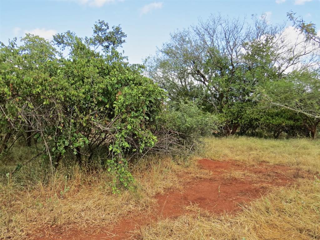1969 m² Land available in Marloth Park photo number 3