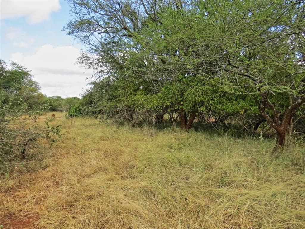 1969 m² Land available in Marloth Park photo number 8