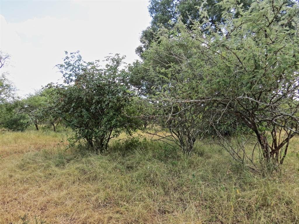 1969 m² Land available in Marloth Park photo number 9