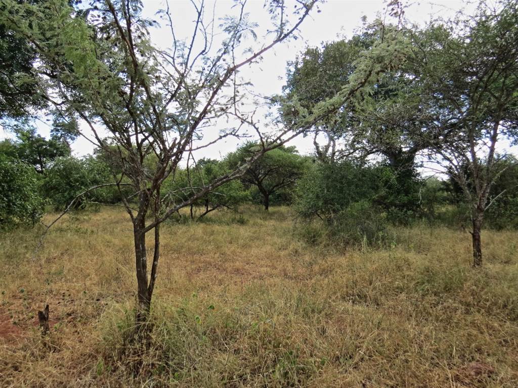 1969 m² Land available in Marloth Park photo number 6