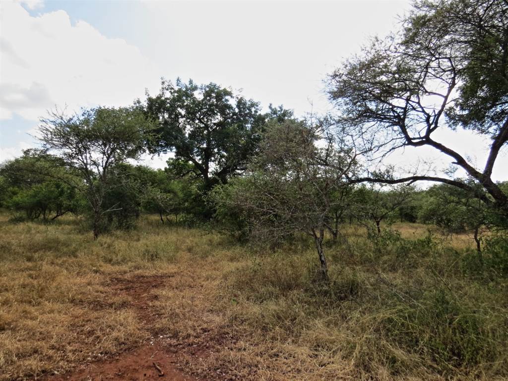 1969 m² Land available in Marloth Park photo number 2
