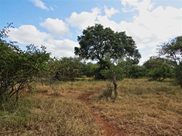 1969 m² Land available in Marloth Park