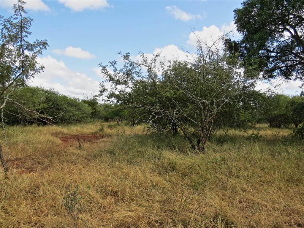 1969 m² Land available in Marloth Park photo number 5