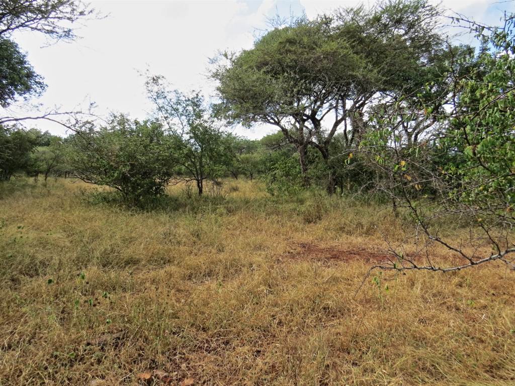 1969 m² Land available in Marloth Park photo number 7