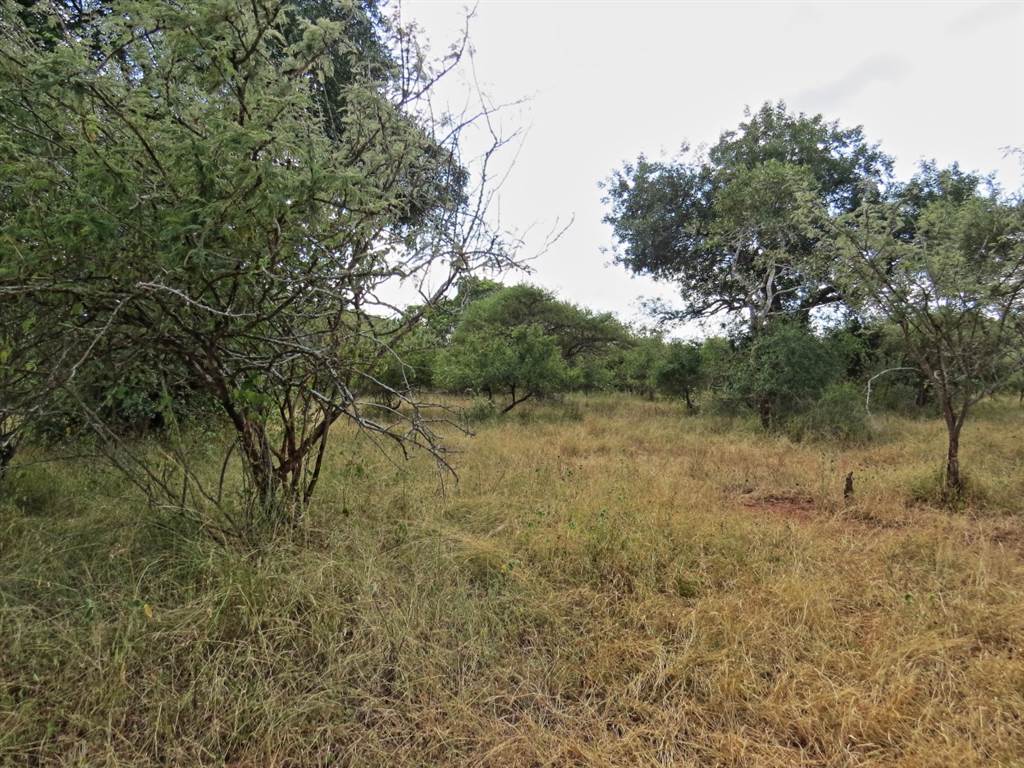 1969 m² Land available in Marloth Park photo number 11