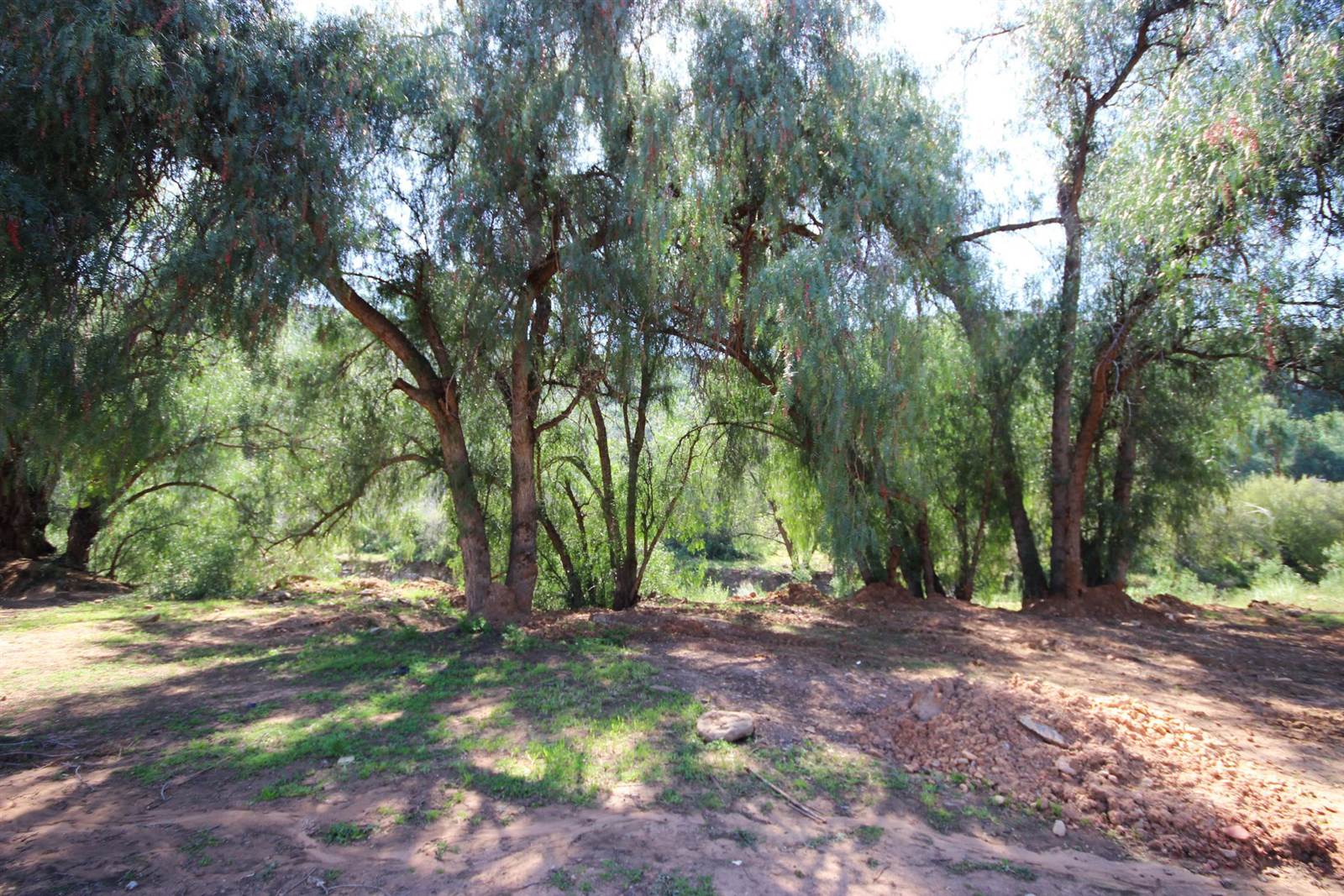 940 m² Land available in De Rust photo number 5