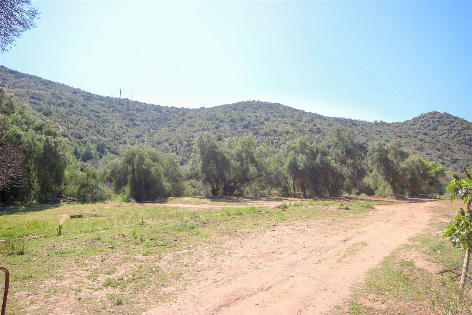 940 m² Land available in De Rust photo number 9