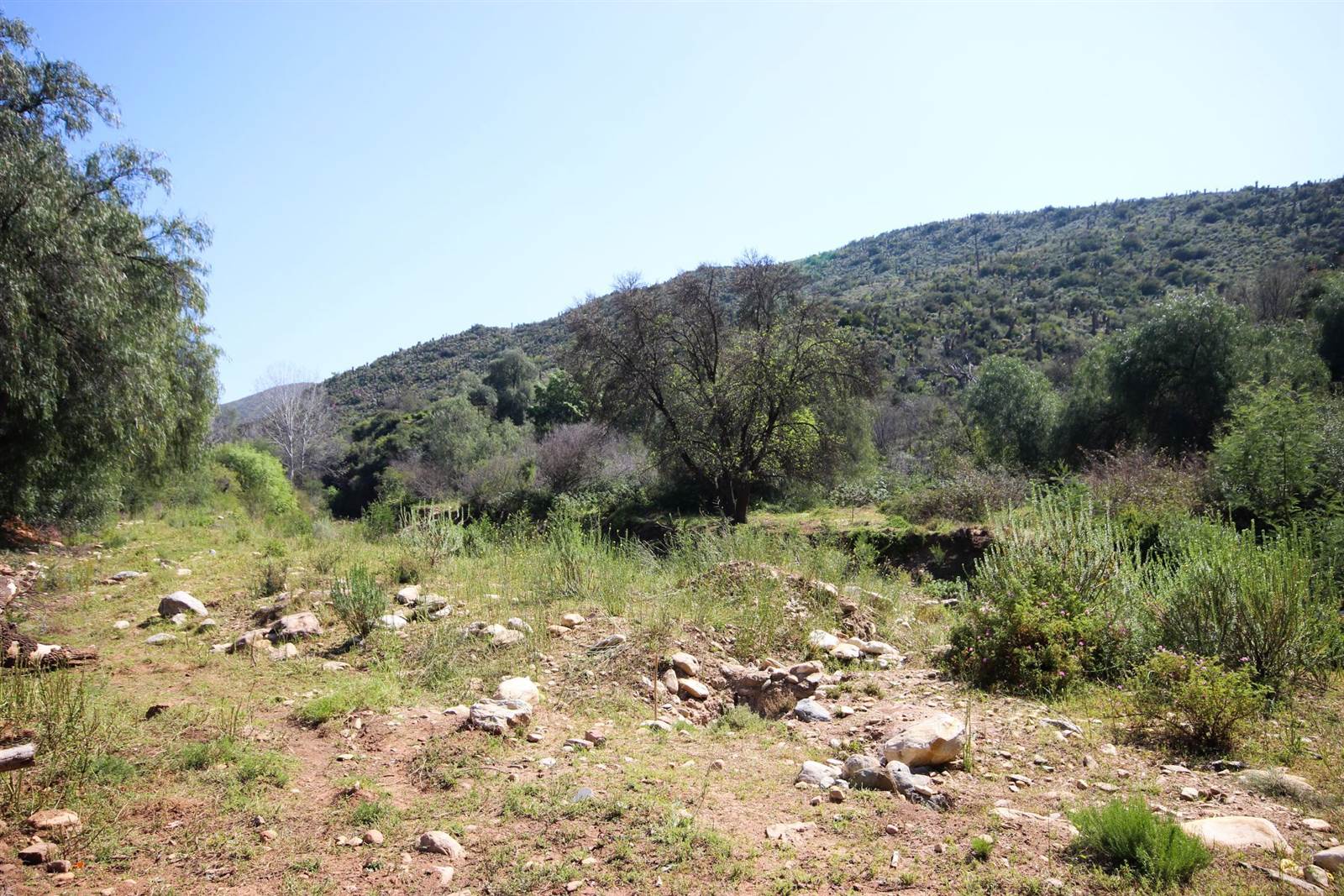 940 m² Land available in De Rust photo number 3