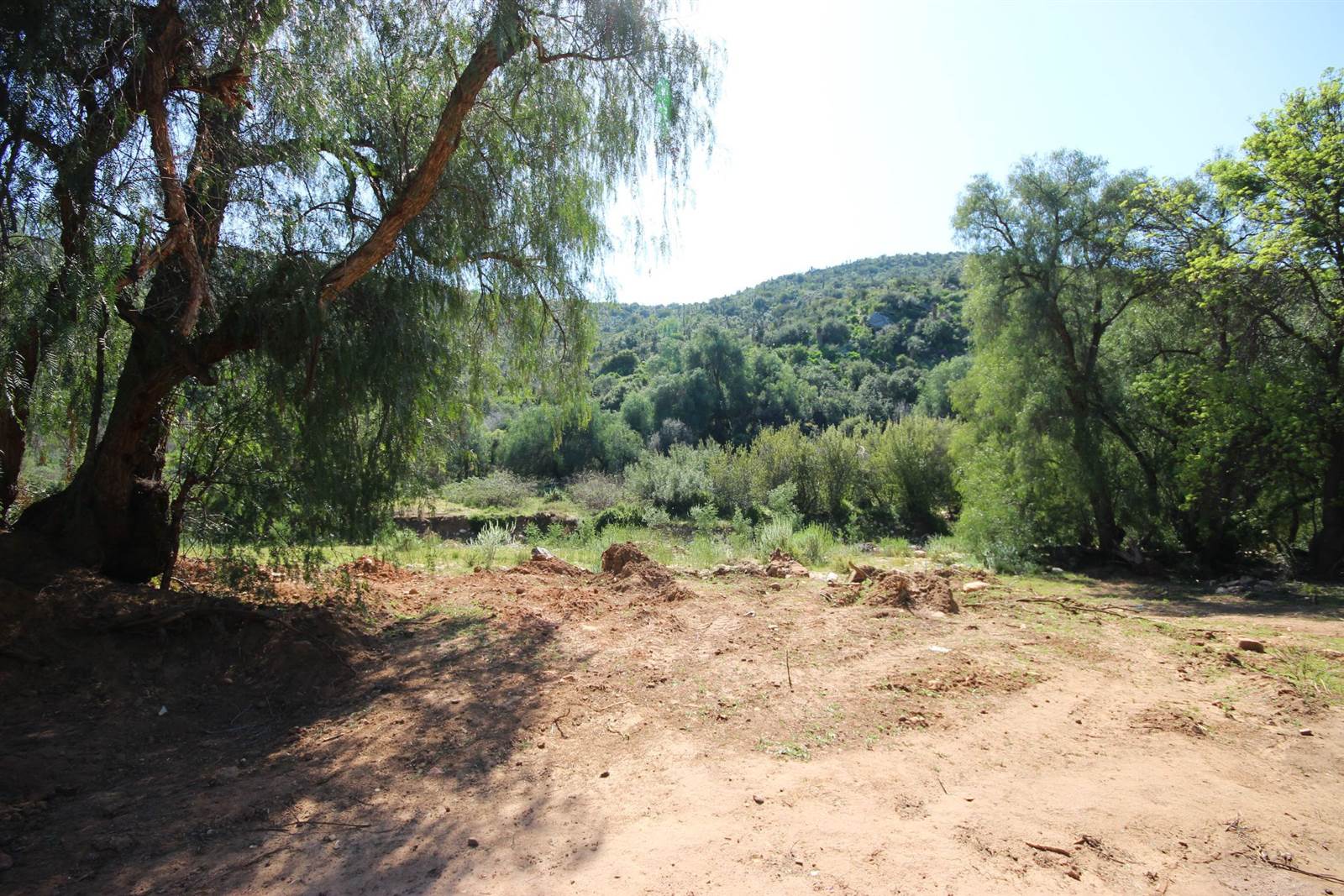 940 m² Land available in De Rust photo number 6