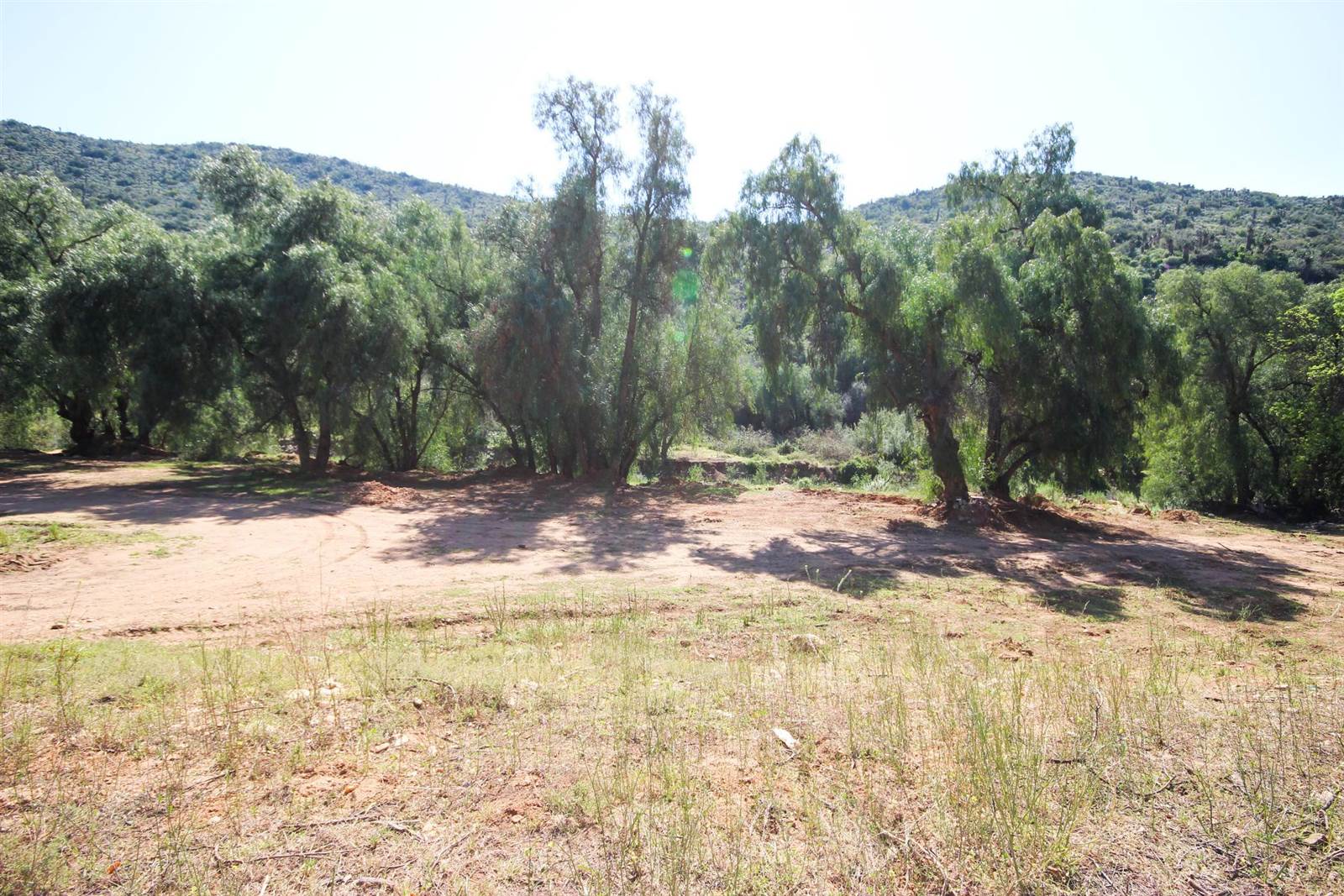 940 m² Land available in De Rust photo number 7