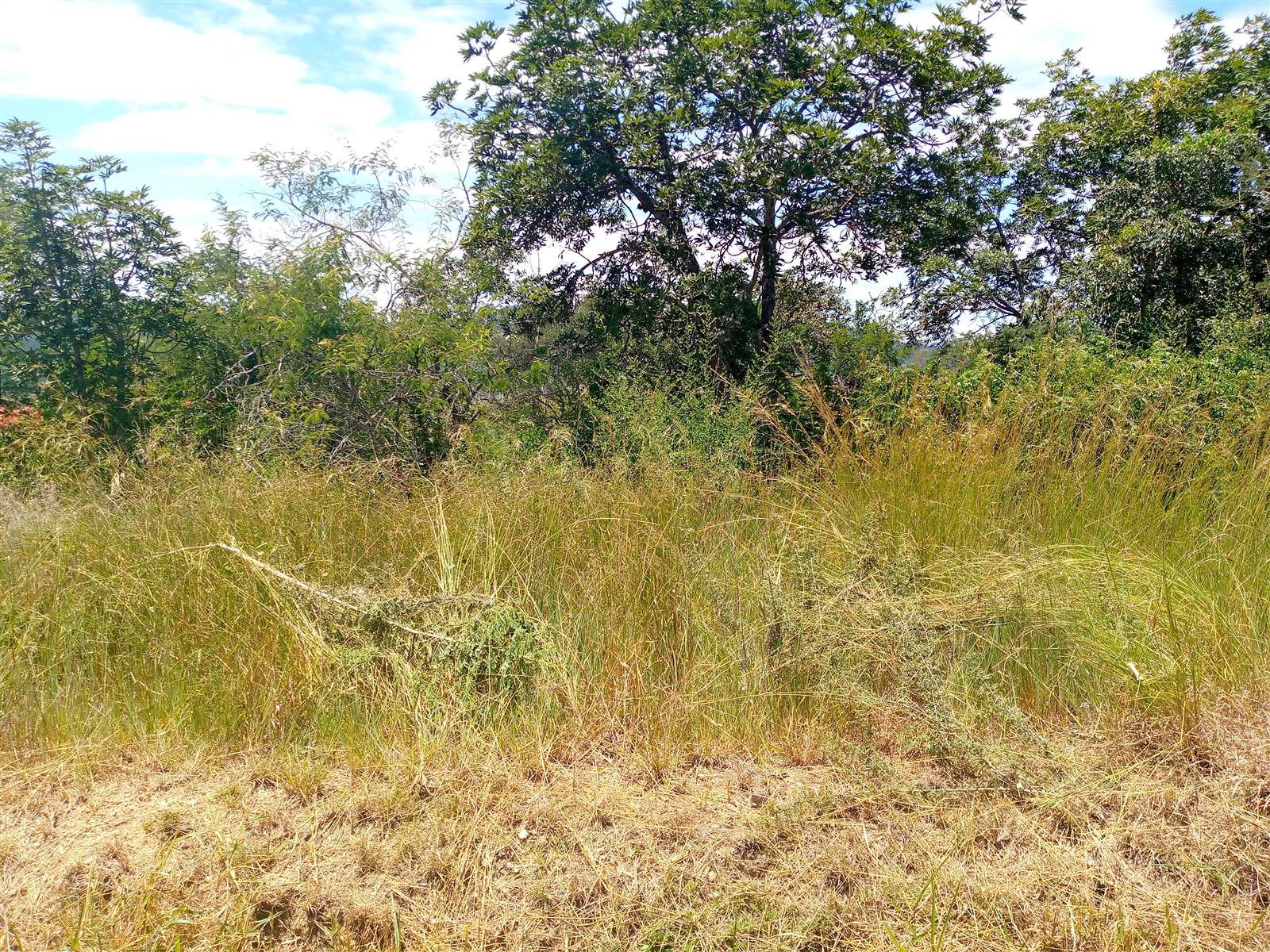1618 m² Land available in Drum Rock photo number 8