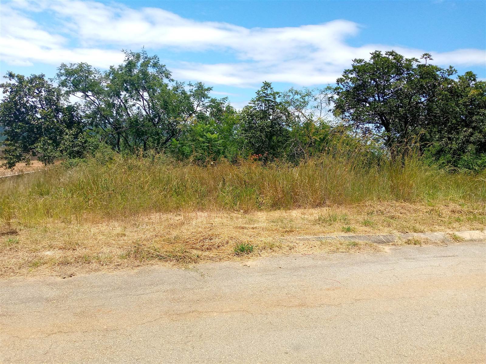 1618 m² Land available in Drum Rock photo number 7