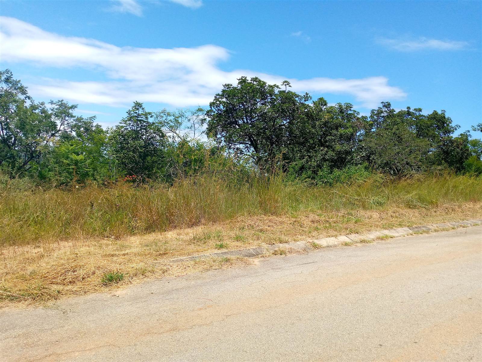 1618 m² Land available in Drum Rock photo number 6