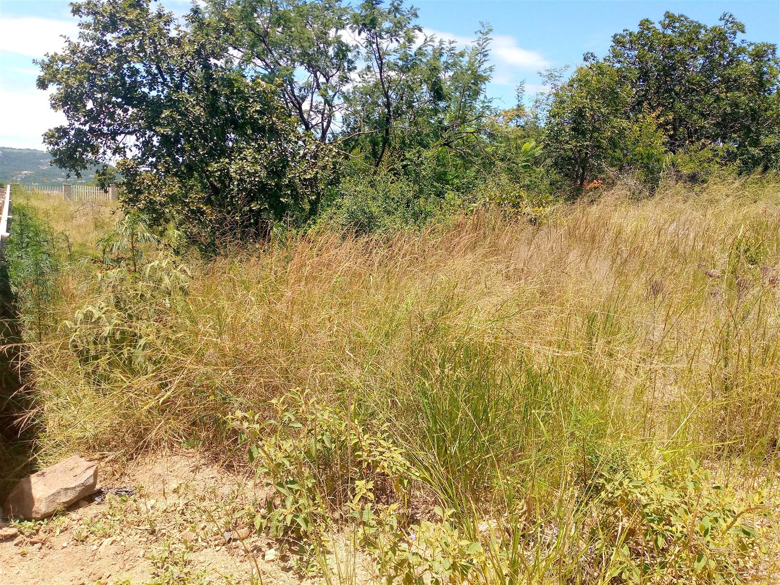 1618 m² Land available in Drum Rock photo number 4