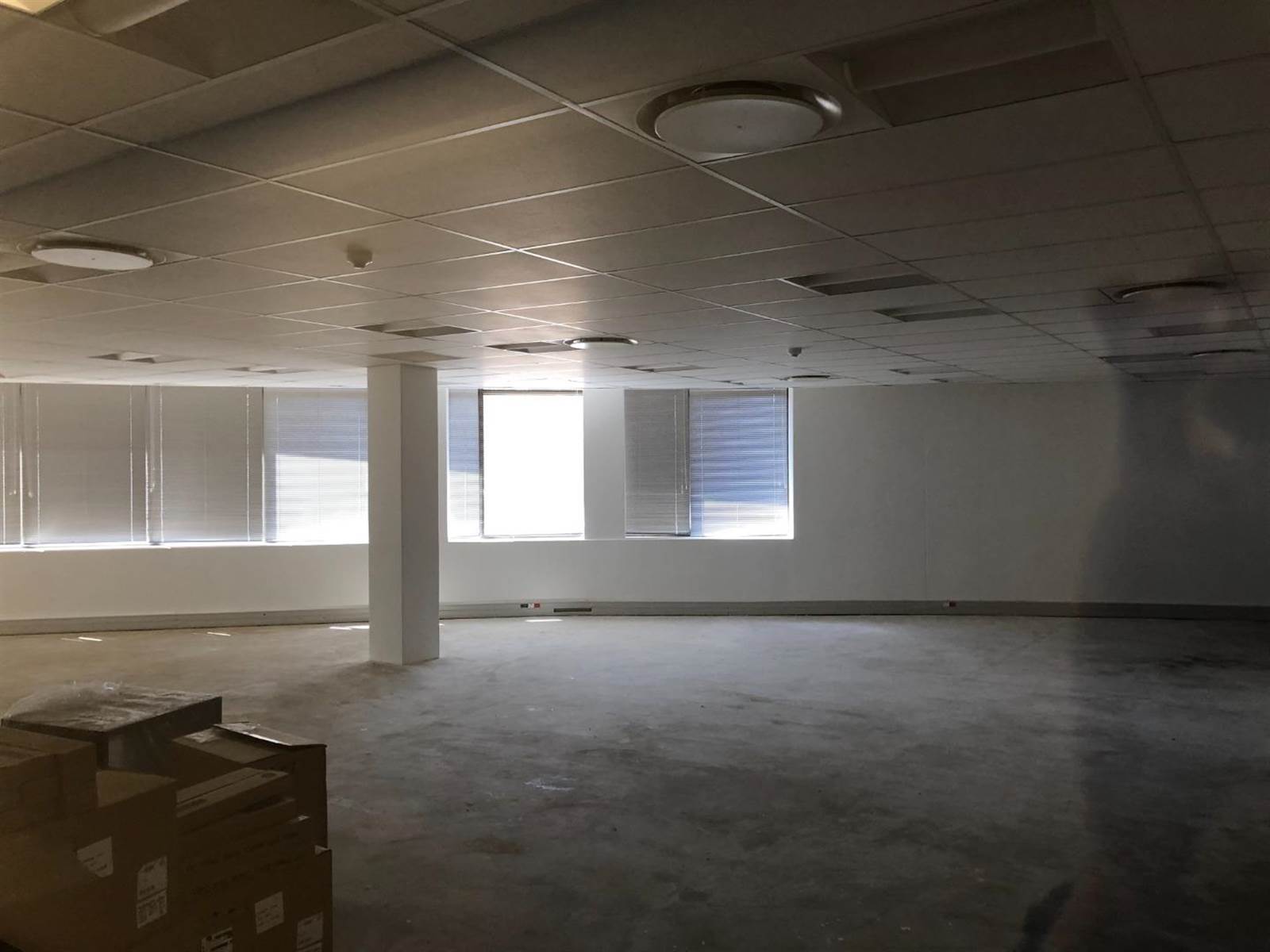 590  m² Commercial space in Parktown photo number 29