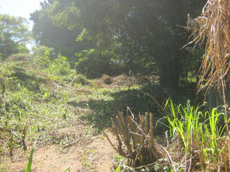 1696 m² Land available in Umtentweni photo number 3