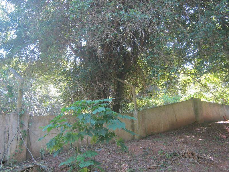 1696 m² Land available in Umtentweni photo number 7