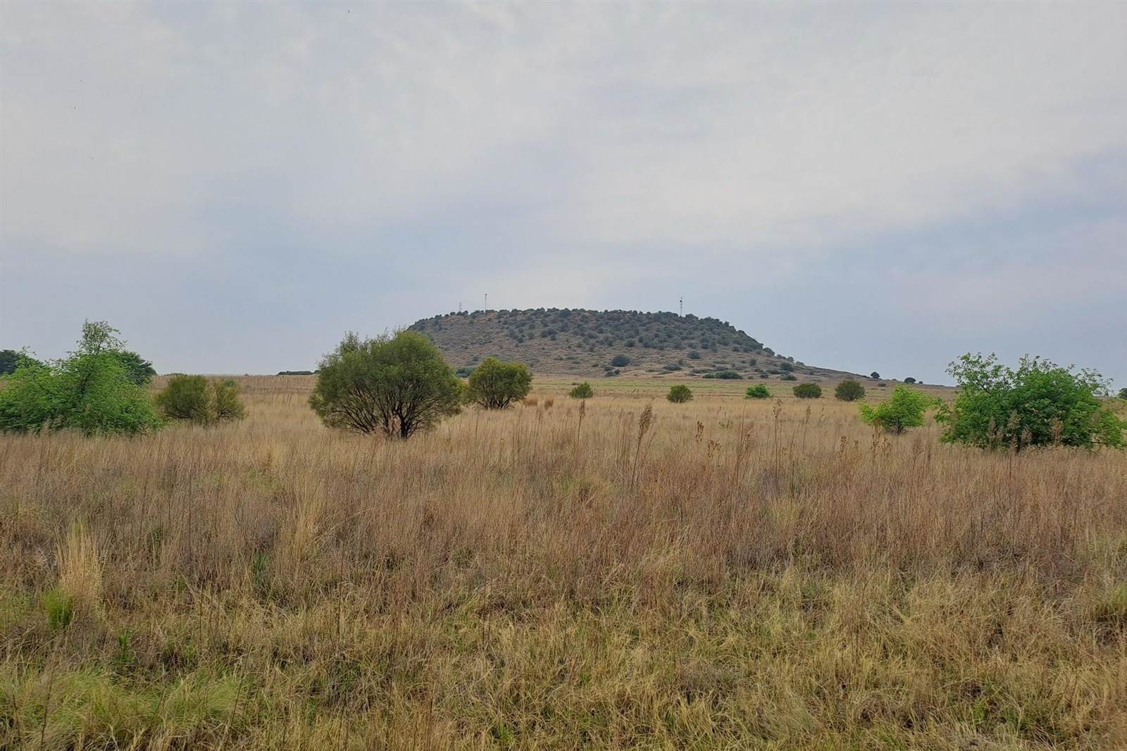 25 ha Land available in Bainsvlei photo number 1