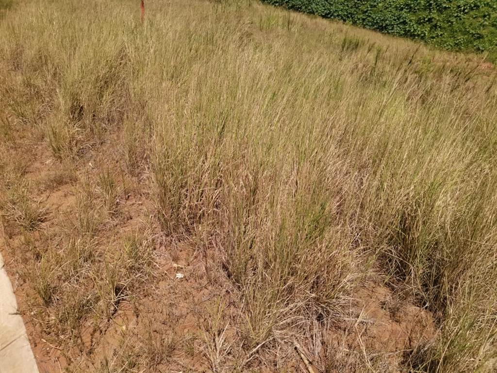 639 m² Land available in Sibaya Precinct photo number 6