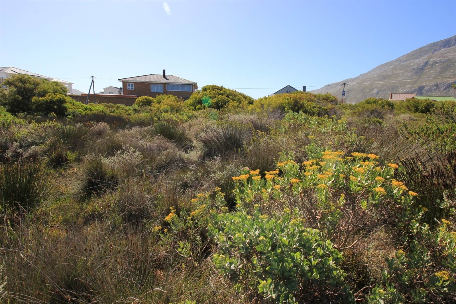 885 m² Land available in Bettys Bay photo number 11