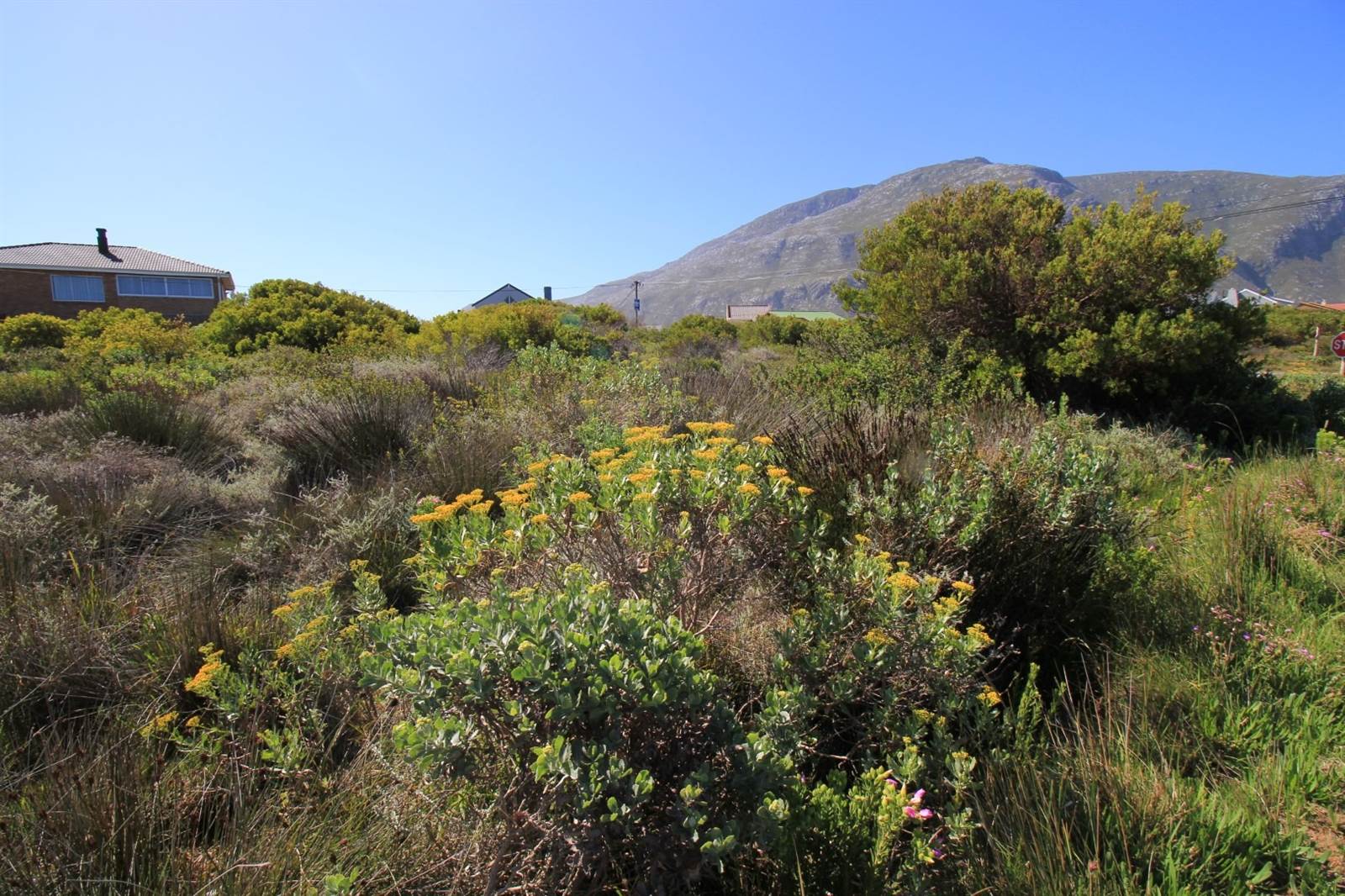 885 m² Land available in Bettys Bay photo number 13