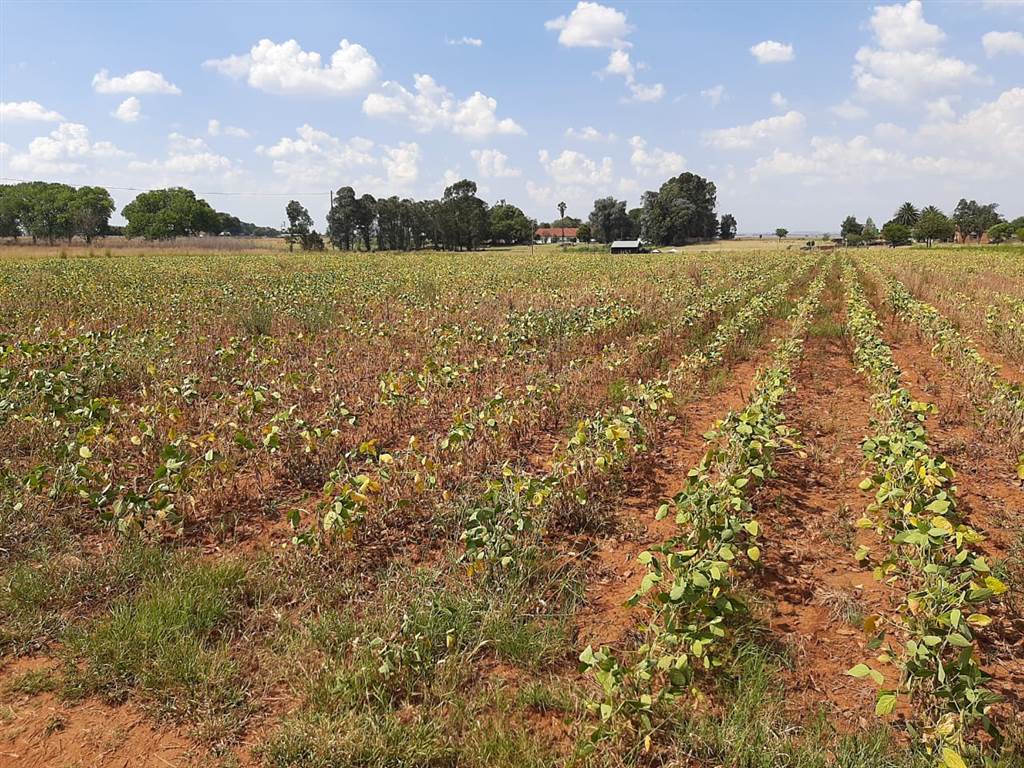 1.6 ha Land available in Droogefontein photo number 1