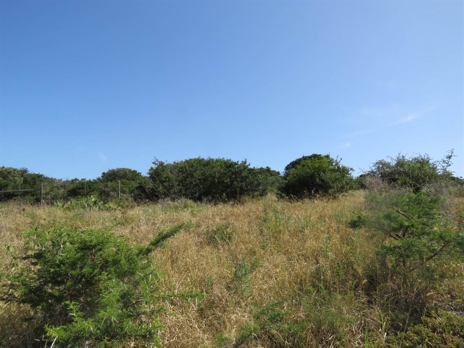 780 m² Land available in West Bank photo number 9
