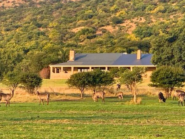 682 ha Farm 682 ha Farm