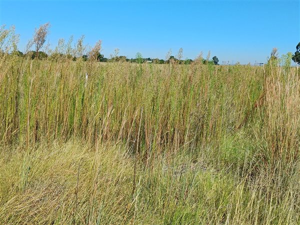 4.3 ha Land available in Quaggafontein