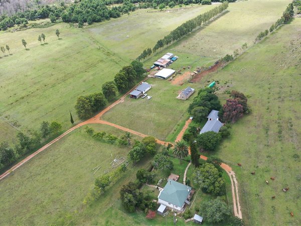 Farm Farm