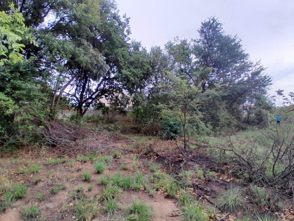900 m² Land available in Geelhoutpark photo number 7