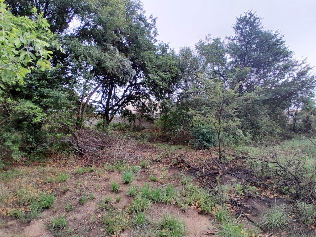 900 m² Land available in Geelhoutpark photo number 9