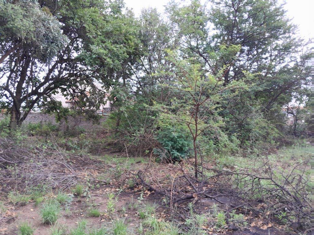 900 m² Land available in Geelhoutpark photo number 6